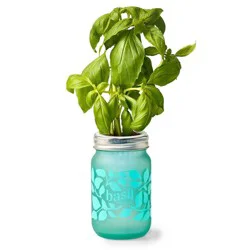 Modern Sprout Basil Green Pint Jar Grow Kit