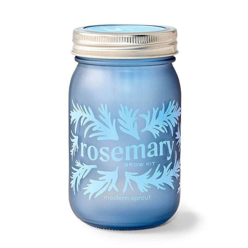 slide 2 of 6, Modern Sprout Rosemary Green Pint Jar Grow Kit, 1 ct