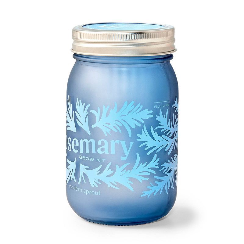 slide 4 of 6, Modern Sprout Rosemary Green Pint Jar Grow Kit, 1 ct
