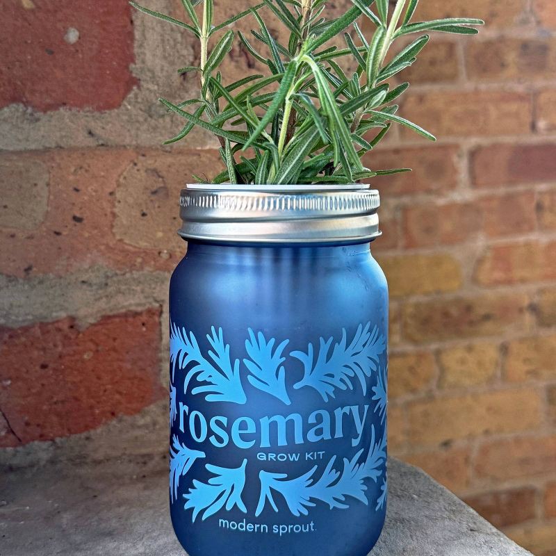 slide 5 of 6, Modern Sprout Rosemary Green Pint Jar Grow Kit, 1 ct