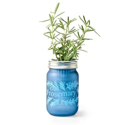 Modern Sprout Rosemary Green Pint Jar Grow Kit