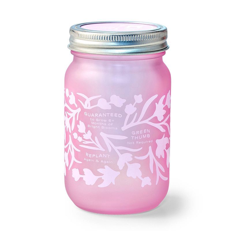 slide 5 of 6, Modern Sprout Lavender Purple Pint Jar Grow Kit, 1 ct