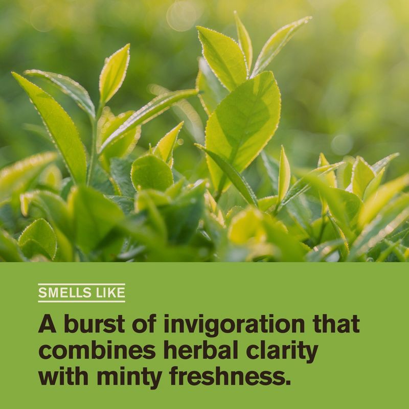 slide 3 of 8, Every Man Jack 2-in-1 Shampoo + Conditioner - Tea Tree - 16 fl oz, 16 fl oz