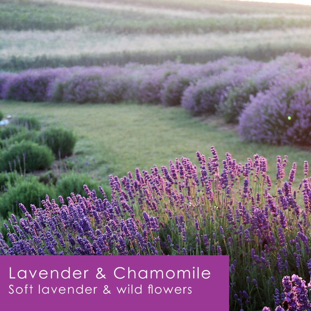 slide 3 of 4, Tuscany Candle Color Splash Lavender & Chamomile Candle, 12 Oz, 12 oz