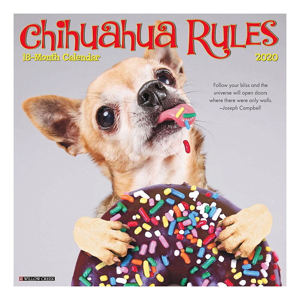 slide 1 of 1, Willow Creek Press The Finest Virtues Of The Chihuahua Character Are Aptly Portrayed Through A Perfect Combination Of Twelve Outstanding Photos And Inspiring Quotes. The Large Format Features Daily Grids With Ample Room For Jotting Appointments, Birthdays And Reminders., 1 ct