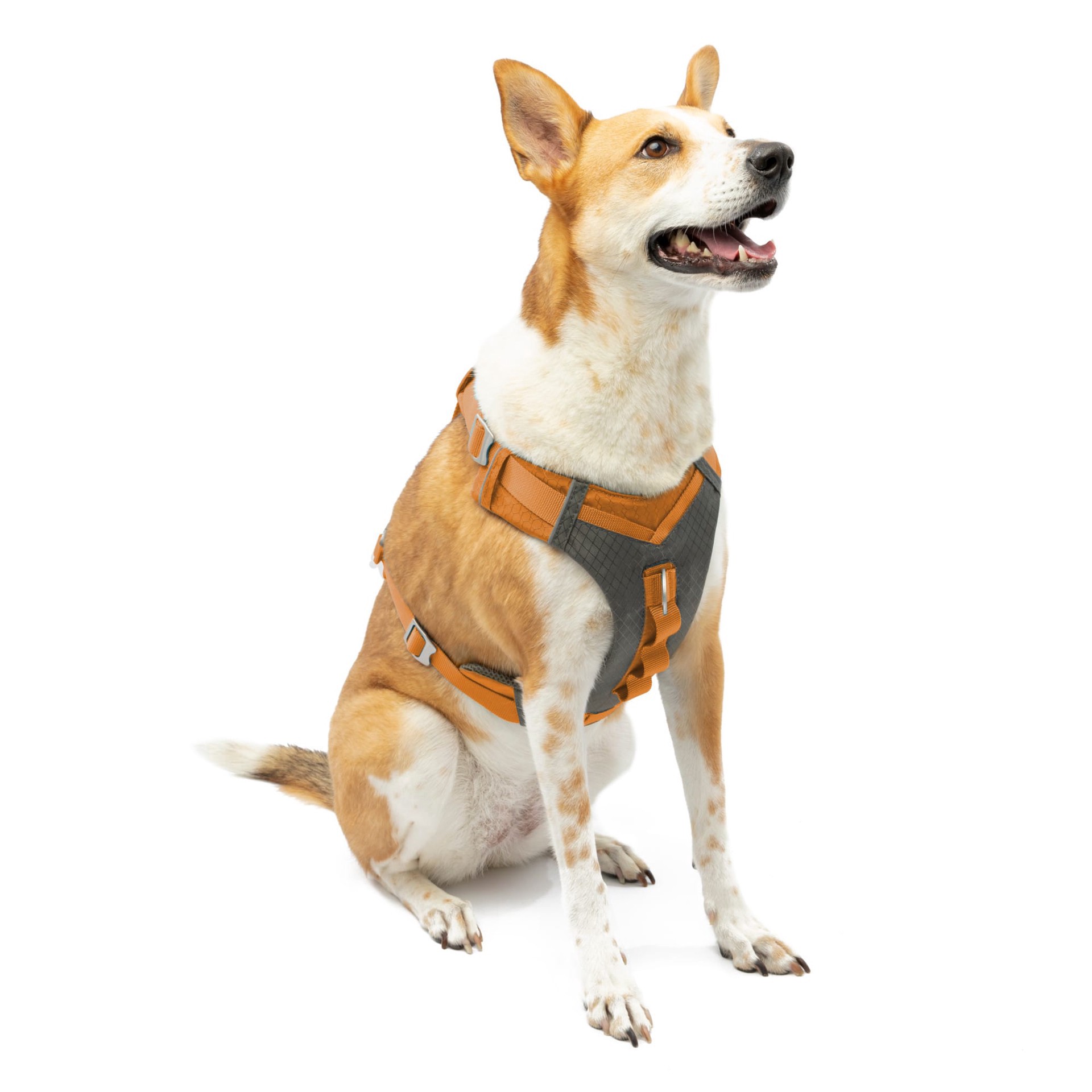 slide 1 of 1, Kurgo Orange Journey Air Dog Harness, X-Large, 1 ct