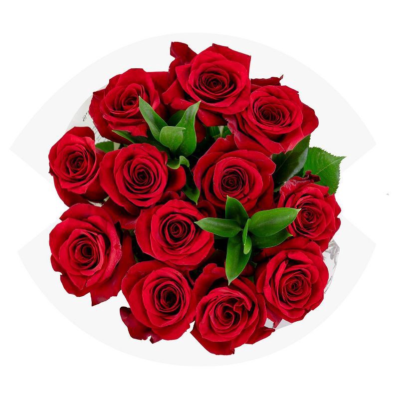 slide 1 of 4, Distributed by Vendor Dozen Fresh Cut Vibrant Red Roses, 1 ct