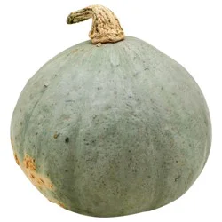 Golden Hubbard Squash, 1 ct