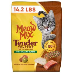 Meow Mix Tender Centers Salmon and Turkey Flavor Dry Cat Food - 14.2lbs