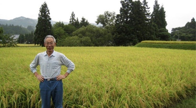 slide 5 of 6, Yuki No Bosha - Junmai Ginjo (720x12), 720 ml