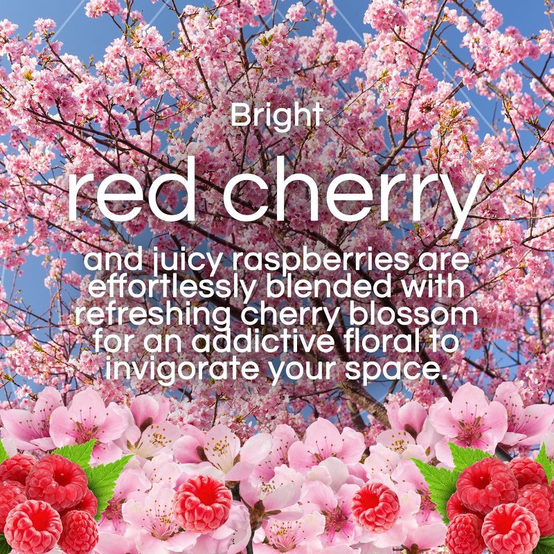 slide 4 of 9, Air Wick Vibrant Scented Oil Air Freshener - Cherry Blossom & Raspberry - 0.67 fl oz/2ct, 2 ct; 0.67 fl oz