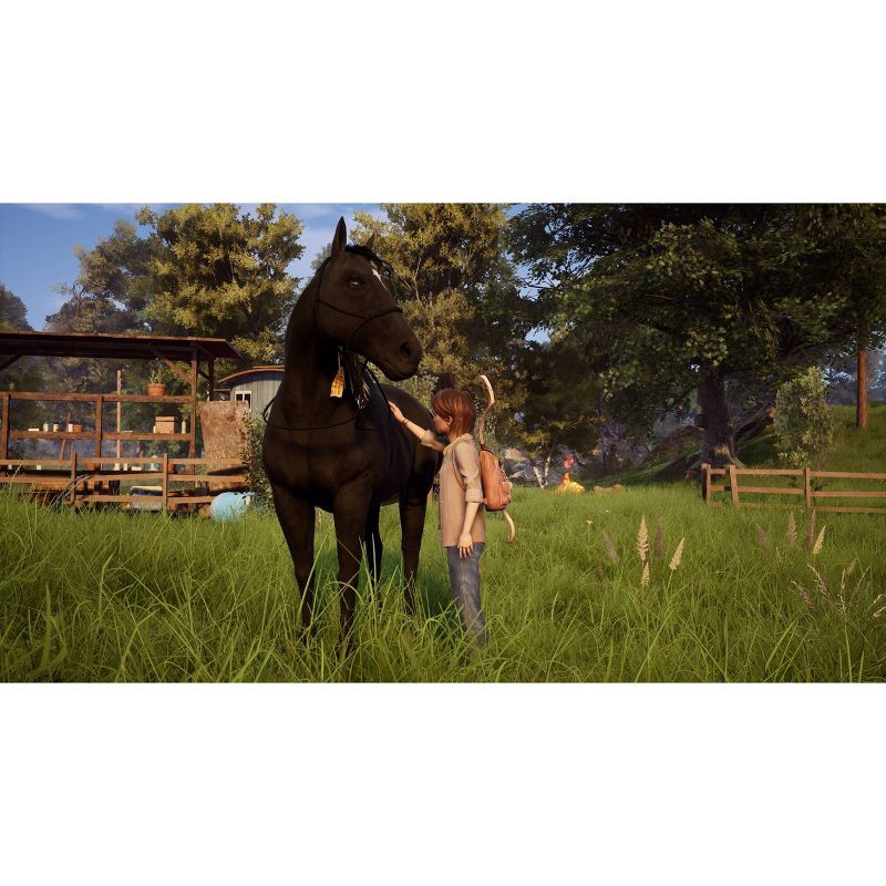 slide 2 of 6, Windstorm: Start of a Great Friendship - Nintendo Switch, 1 ct