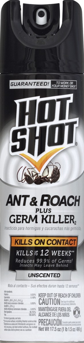 slide 2 of 2, Hot Shot Unscented Ant And Roach Killer With Germ Killer, 17.5 oz