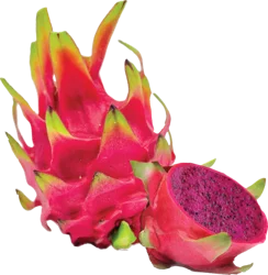 Red Dragon Fruit