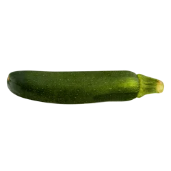 Zucchini