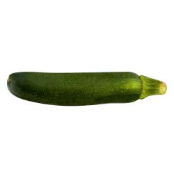Zucchini
