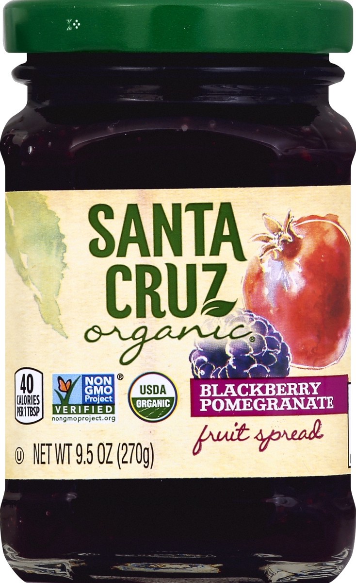 slide 1 of 2, Santa Cruz Organic Fruit Spread 9.5 oz, 9.5 oz