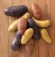 Fingerling Potatoes