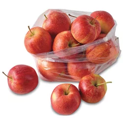 Evans Fruit Motts Gala Apples