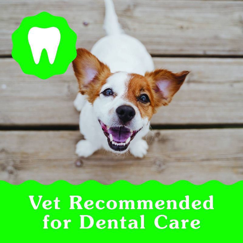 slide 2 of 10, Greenies Dental Treats Teenie 6 Months+ Puppy Daily Dog Treats 43 ea, 43 ct; 12 oz