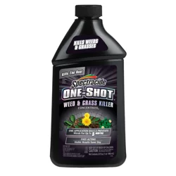 Spectracide 1 Stop Exterior Wasp & Hornet Killer Concentrate
