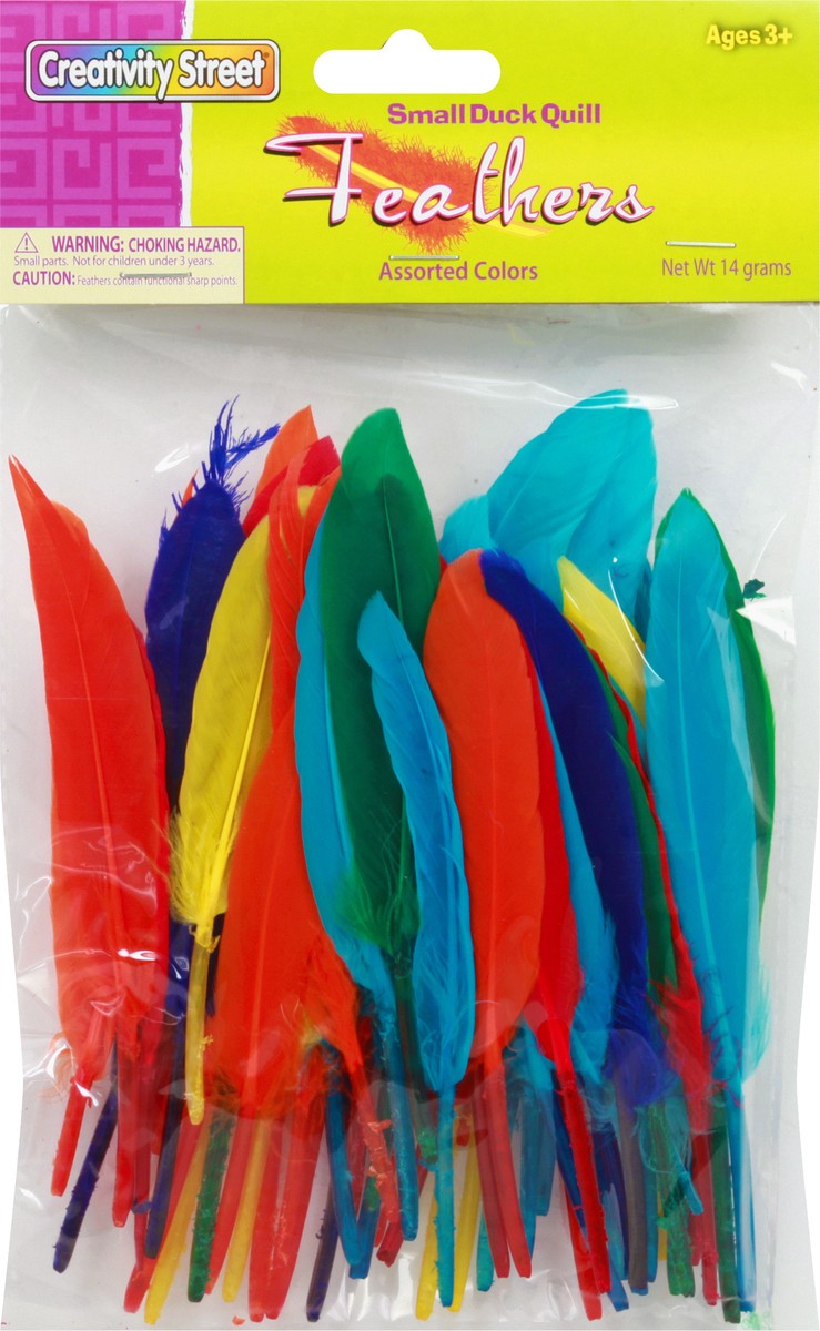 slide 6 of 9, Creativity Street Feathers Duck Quill Assorted, 14 g