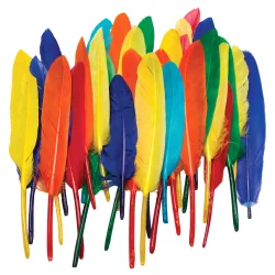 Creativity Street Feathers Duck Quill Assorted