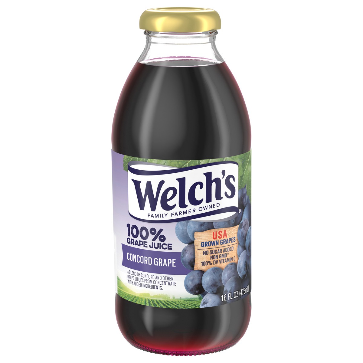 slide 1 of 5, Welch's 100% Grape Juice, Concord Grape, 16 Fl Oz On-the-Go Bottle, 16 fl oz