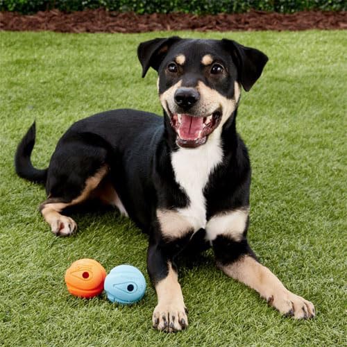 slide 2 of 10, Chuckit!! The Whistler Dog Toy, 1 PK