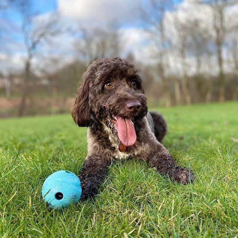 slide 4 of 10, Chuckit!! The Whistler Dog Toy, 1 PK