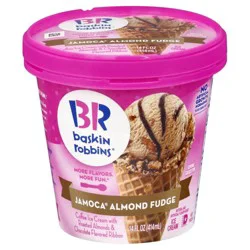 Baskin-Robbins Jamoca Almond Fudge Ice Cream 14 fl oz