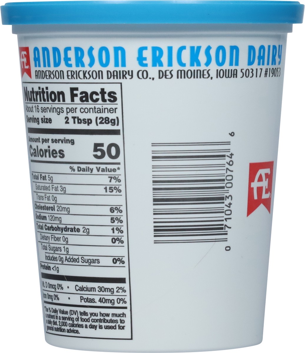 slide 9 of 11, Anderson Erickson Dairy AE Dairy Party Sour Cream Dip, 16 oz