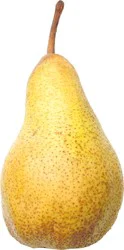 Organic Abate Fetel Pear