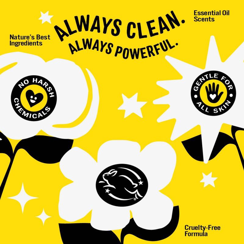 slide 6 of 8, Molly's Suds Unscented HE Concentrated Liquid Laundry Detergent 90 Loads - 46 fl oz, 46 fl oz