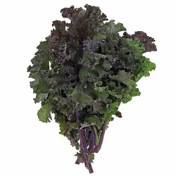 H-E-B Texas Roots Fresh Organic Red Kale