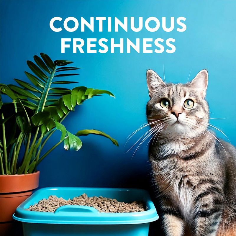 slide 5 of 11, Arm & Hammer Lightweight Clumping Scented Fresh Effects Cat Litter - 10.5lbs, 10.5 lb