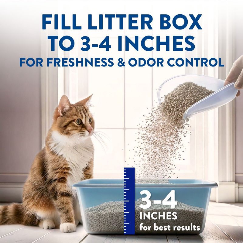 slide 9 of 11, Arm & Hammer Lightweight Clumping Scented Fresh Effects Cat Litter - 10.5lbs, 10.5 lb