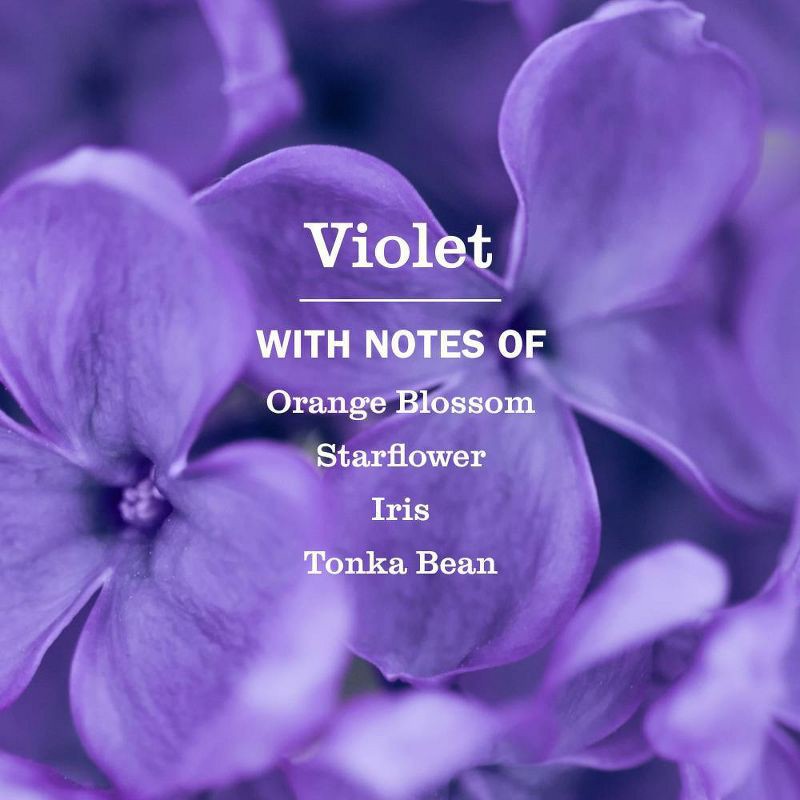 slide 3 of 8, Mrs. Meyer's Clean Day Liquid Hand Soap - Violet - 12.5 fl oz, 12.5 fl oz