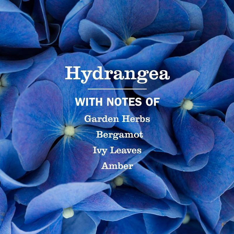slide 3 of 8, Mrs. Meyer's Clean Day Liquid Hand Soap - Hydrangea - 12.5 fl oz, 12.5 fl oz