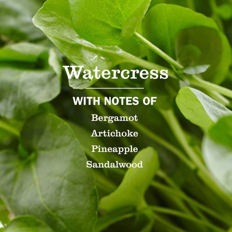 slide 3 of 8, Mrs. Meyer's Clean Day Liquid Hand Soap - Watercress - 12.5 fl oz, 12.5 fl oz