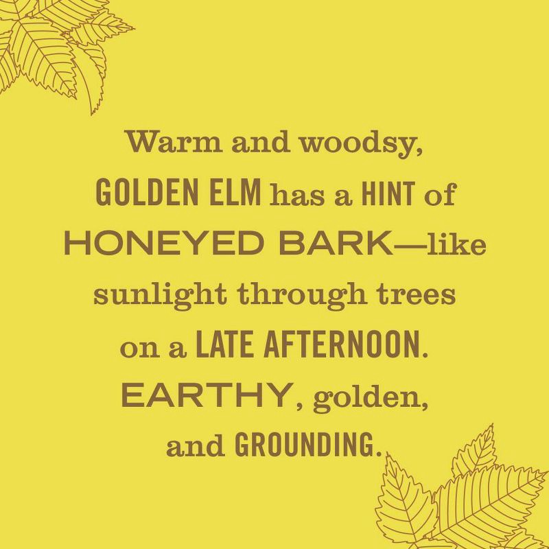 slide 3 of 6, Mrs. Meyer's Clean Day Liquid Hand Soap - Golden Elm - 12.5 fl oz, 12.5 fl oz