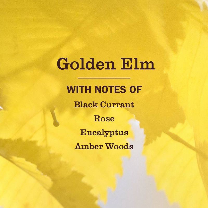 slide 3 of 6, Mrs. Meyer's Clean Day Liquid Hand Soap - Golden Elm - 12.5 fl oz, 12.5 fl oz