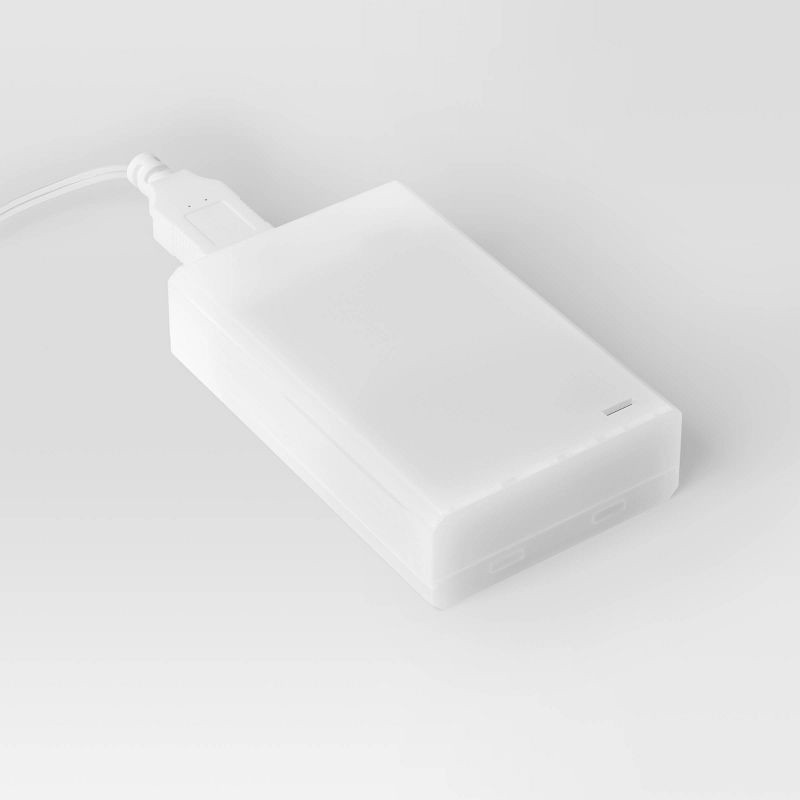 slide 4 of 4, LED Woodrose Vine String Lights Warm White - Room Essentials™, 1 ct