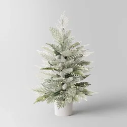 3' Pre-Lit Potted Flocked and Glittered Norfolk Artificial Christmas Tree - Wondershop™