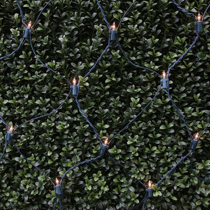 slide 2 of 6, 200ct Philips Heavy Duty Incandescent Indoor/Outdoor Net String Lights Clear with Green Wire and Remains Lit Technology, 200 ct