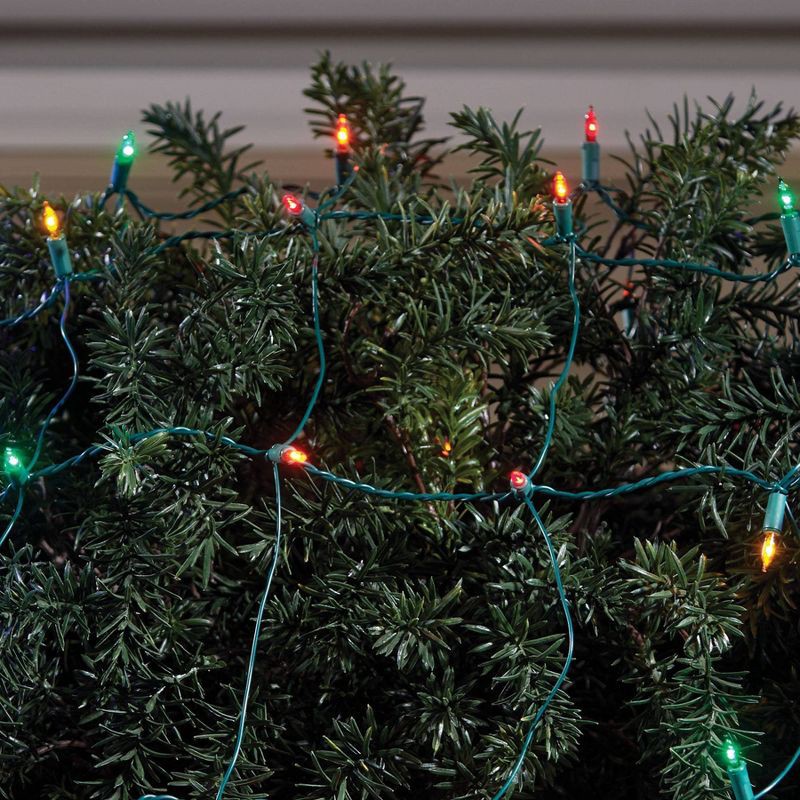 slide 2 of 3, 100ct LED Sylvania Stay-lit Incandescent Look Indoor/Outdoor Net Lights Multi-Colored with Green Wire, 100 ct