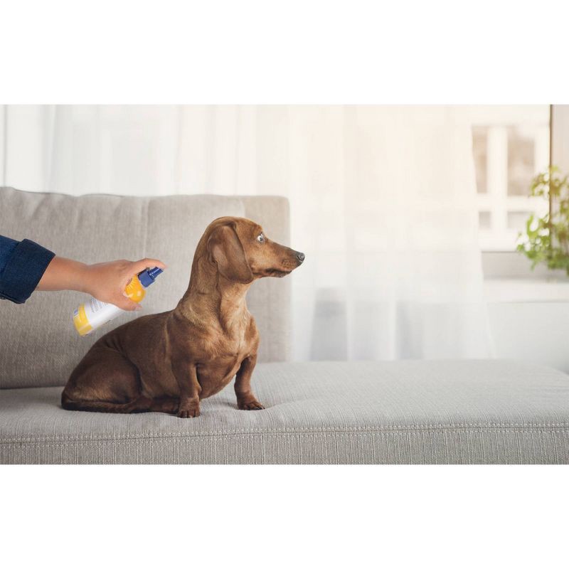 slide 4 of 4, Arm & Hammer Itch Relief Peppermint Scented Dog Spray - 8 fl oz, 8 fl oz