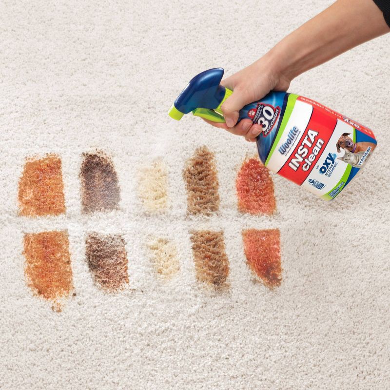 slide 3 of 6, Woolite INSTAclean Pet Stain Liquid Remover - 22 fl oz, 22 fl oz