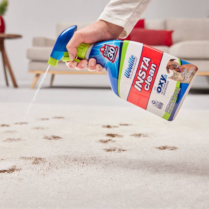 slide 4 of 6, Woolite INSTAclean Pet Stain Liquid Remover - 22 fl oz, 22 fl oz