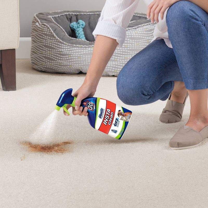 slide 5 of 6, Woolite INSTAclean Pet Stain Liquid Remover - 22 fl oz, 22 fl oz